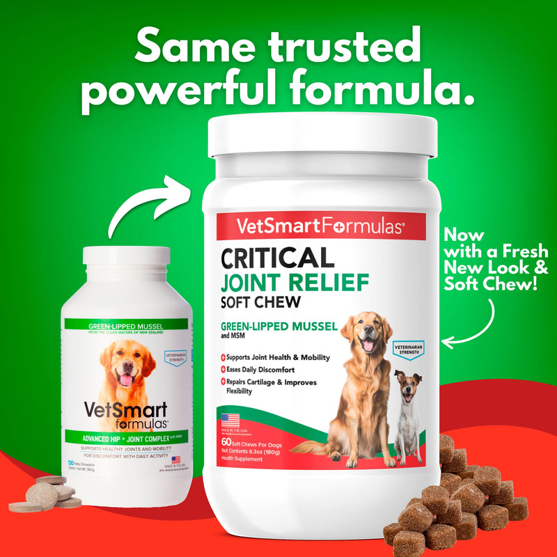 VetSmart Formulas Critical Joint Relief Soft Chew for Dogs – Hip & Joint Supplement with Glucosamine, MSM, Green-Lipped Mussel – Joint Discomfort, Hip Dysplasia & Mobility Support, Made in USA Soft Chews 60 Soft Chews
