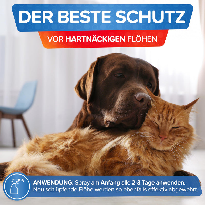 Patronus flea spray for homes and surroundings 500ml - TEST WINNER - repellent against fleas with immediate protection - with a subtle eucalyptus/citrus scent - highly effective & laboratory tested - BeesActive Australia