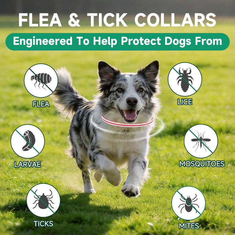 Flea Collar for Dogs, 4 Pack Flea and Tick Prevention for Dogs, 32 Months Dog Flea and Tick Treatment, Adjustable Dog Flea Collars, Waterproof Dog Flea Treatment Collar, Flea Treatment for Dogs