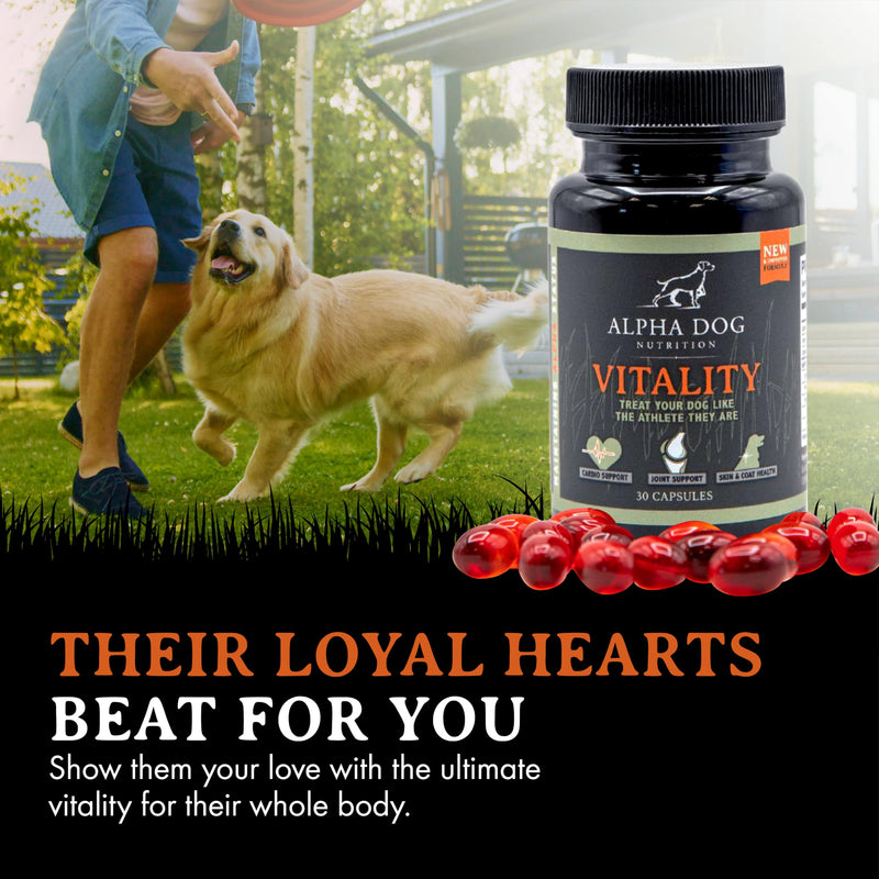 Krill Oil for Dogs - Vitality by Alpha Dog Nutrition – Reduces Dog Allergies, Itchiness, & Shedding – Promotes Healthy Skin and Coat - PawsPlanet Australia