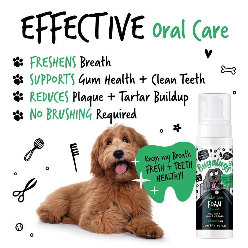BUGALUGS Dog Breath Freshener Dental Care Foam. Clean Teeth, Healthy Gums & Fresh Breath - Natural Dog plaque remover & tartar remover for teeth - No Brushing Needed (Dog 210ml Foam) 210 ml (Pack of 1)
