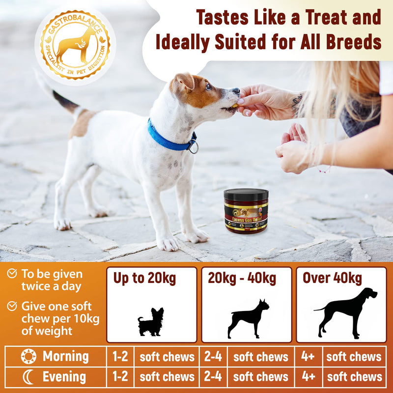 dog flatulence treatment - 60 natural dog flatulence chews recommended by vet (Bacon flavour) Bacon flavour