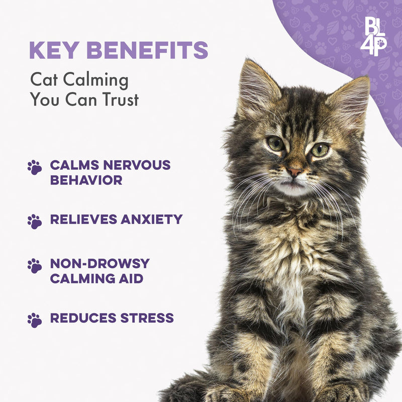 Pet Relax Cat Calming Anxiety Relief, Natural Calming Care for Cats, Cat Stress and Anxiety Relief, Soothes Separation Anxiousness, Homeopathic Feline Aid for Travel, 400 Odorless, Tasteless Pills Cat - 400 Pills - PawsPlanet Australia