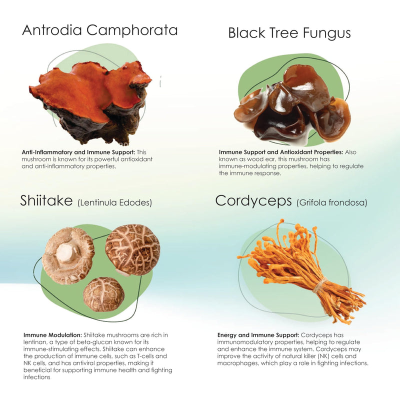 Mycogen Soft Chew for Dogs - 8 Species Mushroom Blend for Critical Immune System Support- Turkey Tail, Reishi, Shiitake, Cordyceps, Black Tree Fungus-120 Tasty Soft Chews 2-Pack 120 chews