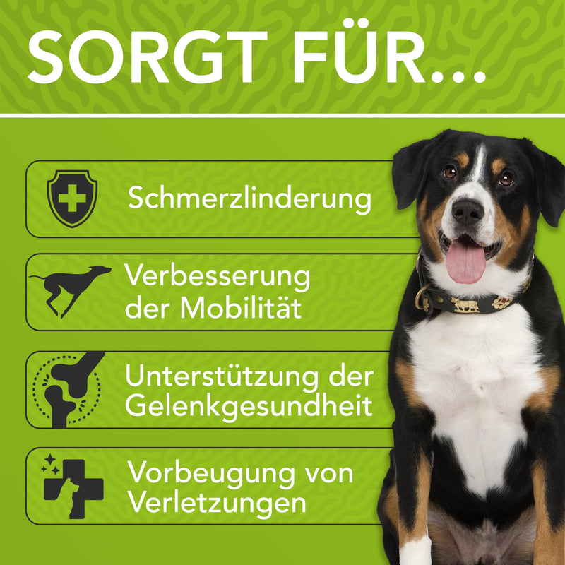 ENEMEL® joint complex for dogs [30ml] | Innovation through drops | Joint complex dog | Made in Germany 30ml - BeesActive Australia
