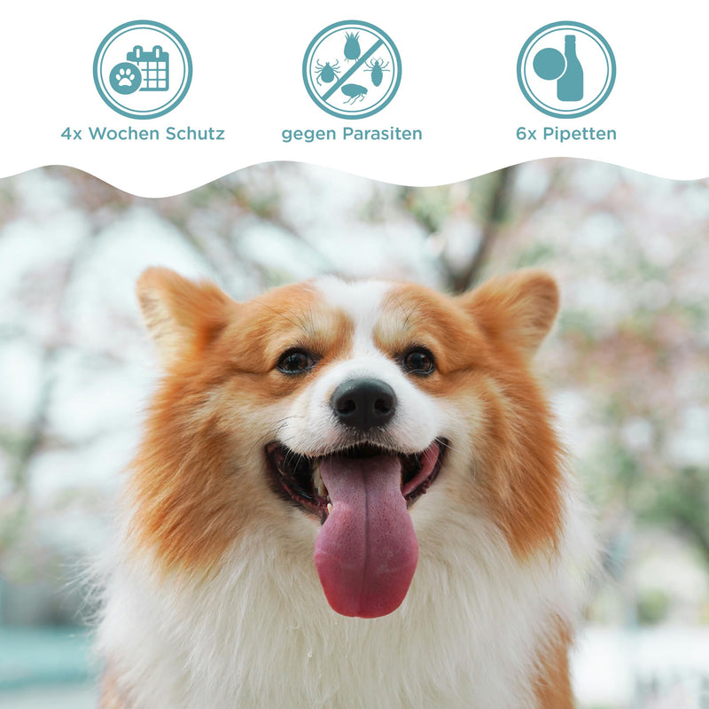 OptiPet Spot On 6x1.5ml pipettes for dogs, highly effective up to 24 weeks against mites, fleas, ticks, lice 6 pipettes - BeesActive Australia
