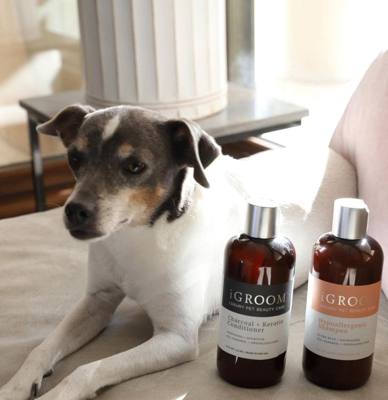 iGroom Hypoallergenic Dog Shampoo, Luxury Pet Beauty Care, Extra Mild Formula, Keratin + Vegetable Proteins Add Moisture, Made in USA, 16oz 16 OZ - PawsPlanet Australia