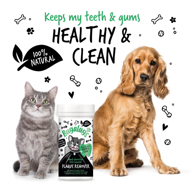 BUGALUGS Plaque Off Remover For Cats 70g Teeth & Bad Breath 100% Natural | Plaque Off Cats No Need For Cat Toothbrush or Cat Toothpaste | Remove Cat Bad Breath & Plaque Remover For Cats