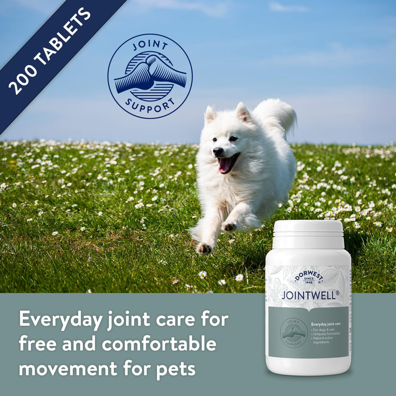 Dorwest JointWell 200 Tablets for Dogs & Cats – Natural Dog Supplements to Support Joint Mobility and Comfort, with Glucosamine, Chondroitin, Zinc, Vitamin C and Hyaluronic Acid