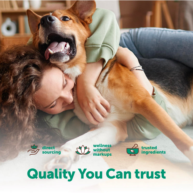 Micro Ingredients Probiotics for Dogs, 240 Soft Chews | Daily Digestive Health Probiotic Chews for Dogs with Prebiotics & Enzymes | Supports Gut Flora & Immune Function* | Non-GMO, Duck Flavor