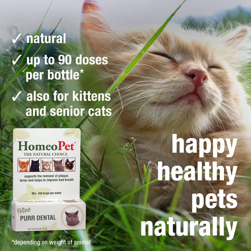 HomeoPet Feline Purr Dental, Safe and Natural Tooth and Dental Care for Cats, Cat Dental Care, 15 Milliliters 15mL - BeesActive Australia