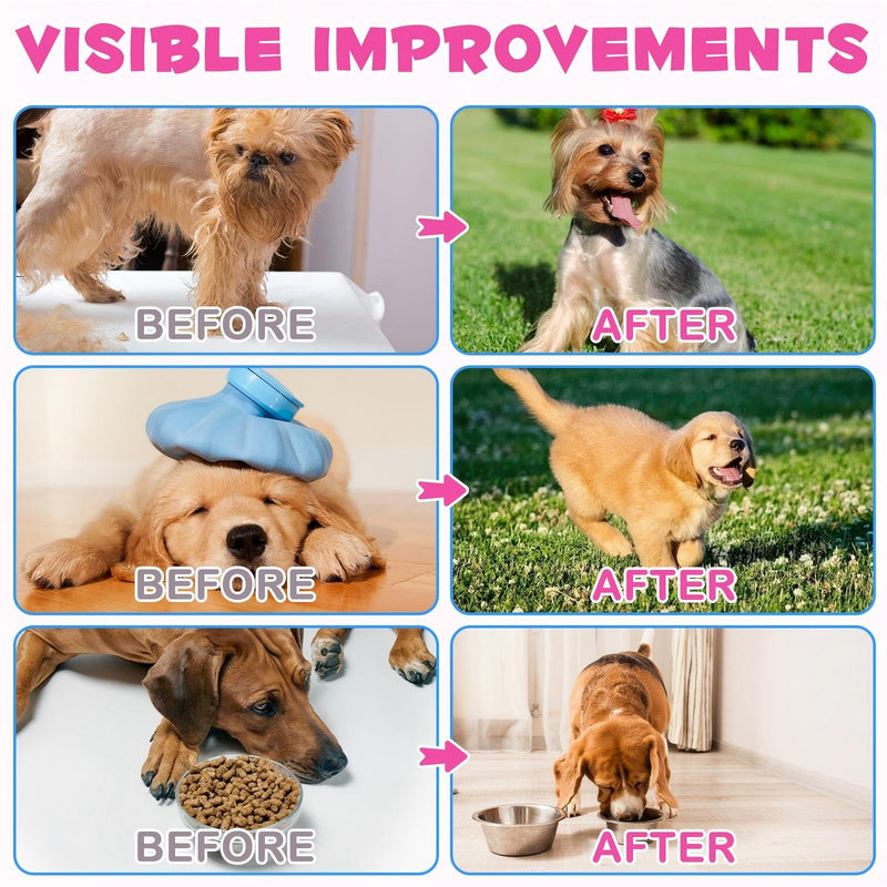 Collagen for Dogs – Herbal Liquid Supplement with Echinacea, Honeysuckle & Apple Cider Vinegar | Supports Normal Immune Function, Skin & Coat Condition, and Digestive Balance | 60ml