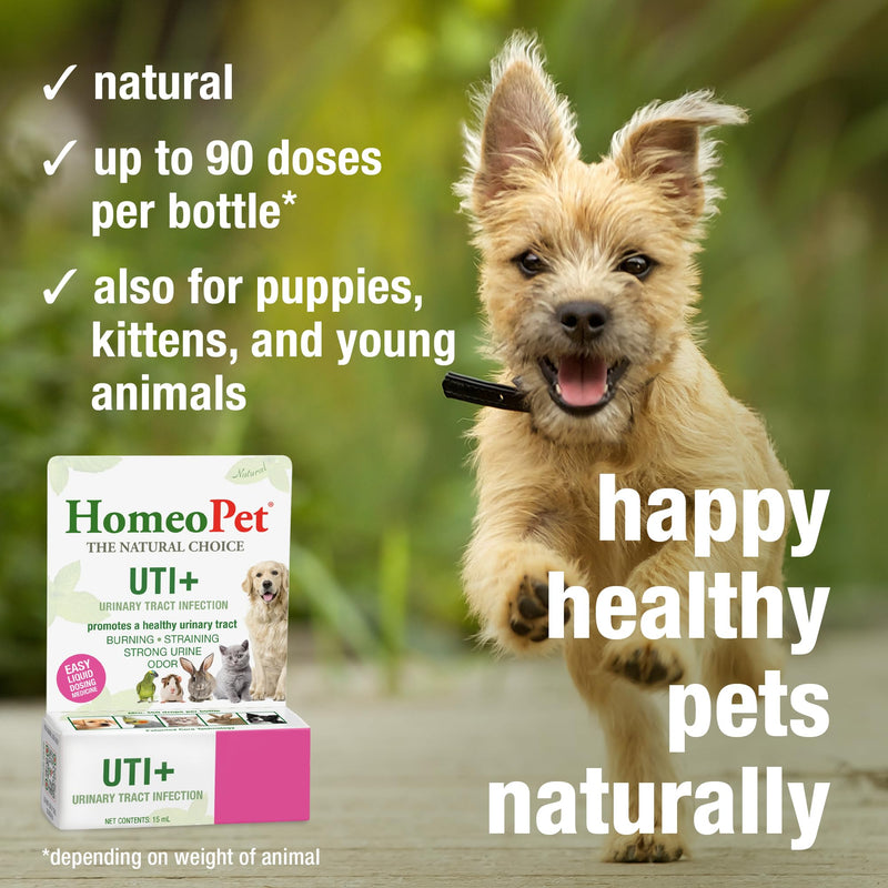 HomeoPet UTI+ Urinary Tract Relief, Safe and Natural Dog and Cat UTI Supplement, 15 Milliliters - BeesActive Australia