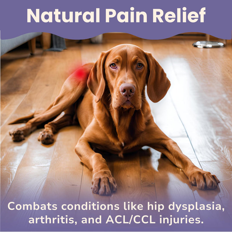 Glacier Peak Holistics HerbAprin - Natural Pain Relief for Dogs, Organic Herb Blend for Arthritis, Aches, Pains, Inflammation, Mobility Support, and Hip & Joint Discomfort - 3oz (90 Servings) - PawsPlanet Australia