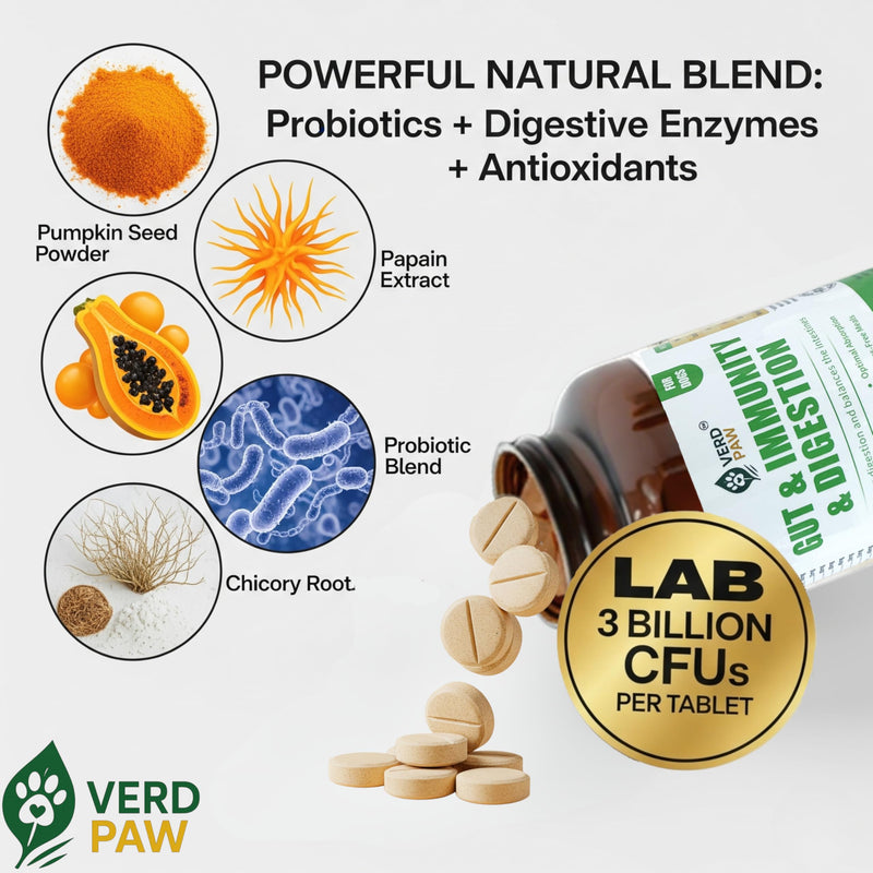 Probiotics for Dogs – Dog Probiotics for Gut Health & Digestive Support, Prebiotics, Digestive Enzymes & 3 Billion CFU Probiotic Blend, Immune Support Supplement for Dogs, 120 Tablets