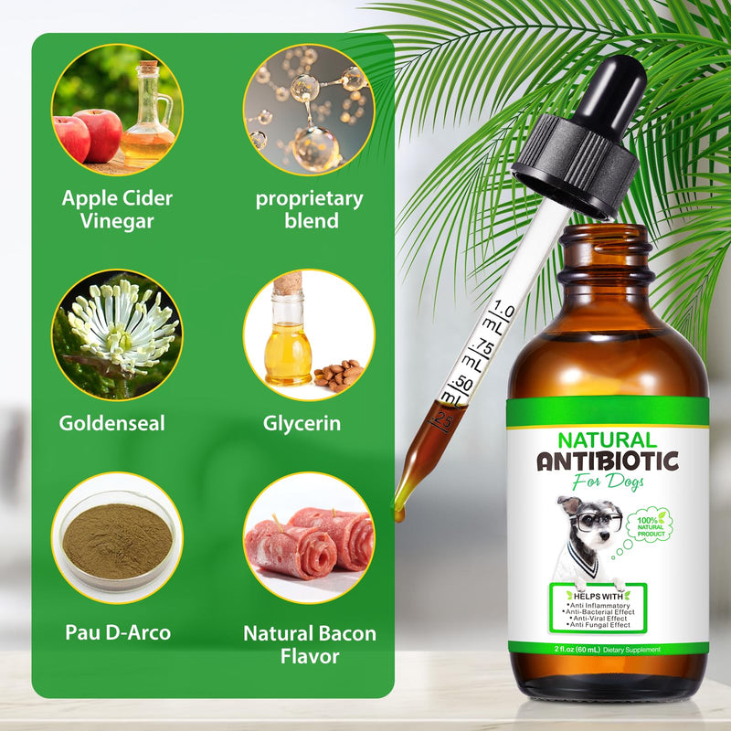 Dog Antibiotics, Antibiotics for Dogs, Natural Dog Antibiotics, Dog Antibiotics Multivitamin, Dog Herbal Supplements 60ml 1PCS - PawsPlanet Australia