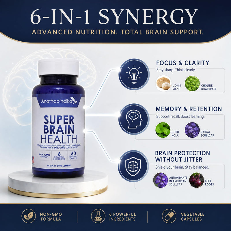 Brain Health Nootropic Supplement Lion's Mane 200mg Gotu Kola 200mg Choline 80mg Beetroots 100mg Skullcap 400mg for Memory Focus Nootropic & Brain Fog