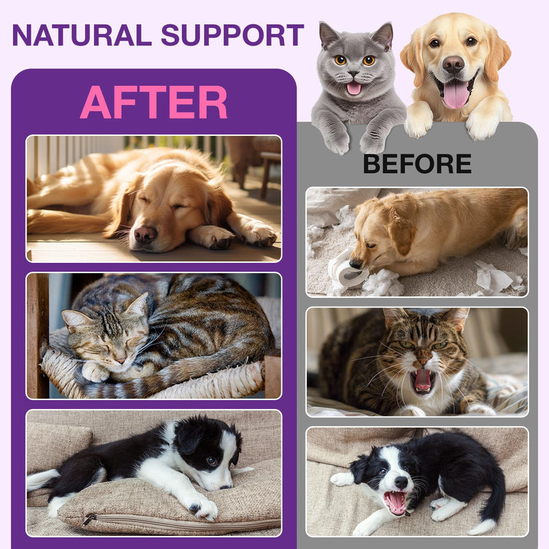 Melatonin for Dogs,Sleep Aid Drops for Dogs and Cats Calming,Liquid Melatonin for Pets Support Relaxation & Deep Sleep and Overall Well-Being