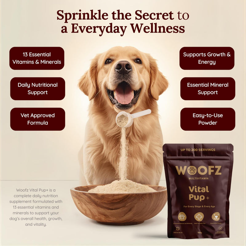 Vital Pup + Dog Multivitamin Powder, 13 Essential Vitamins & Minerals, Daily Wellness Formula, 500g, up to 200 Servings