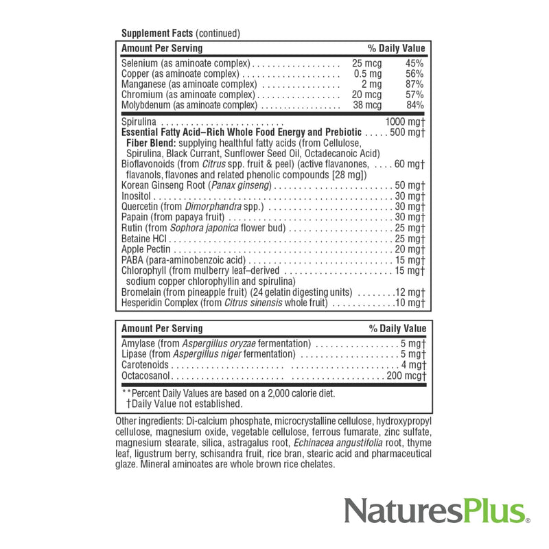 NaturesPlus Source of Life - 90 Mini-Tabs - Multivitamin & Mineral Supplement - Supports Natural Energy & Overall Well-Being - Gluten Free, Vegetarian - 15 Total Servings 90 Count (Pack of 1)