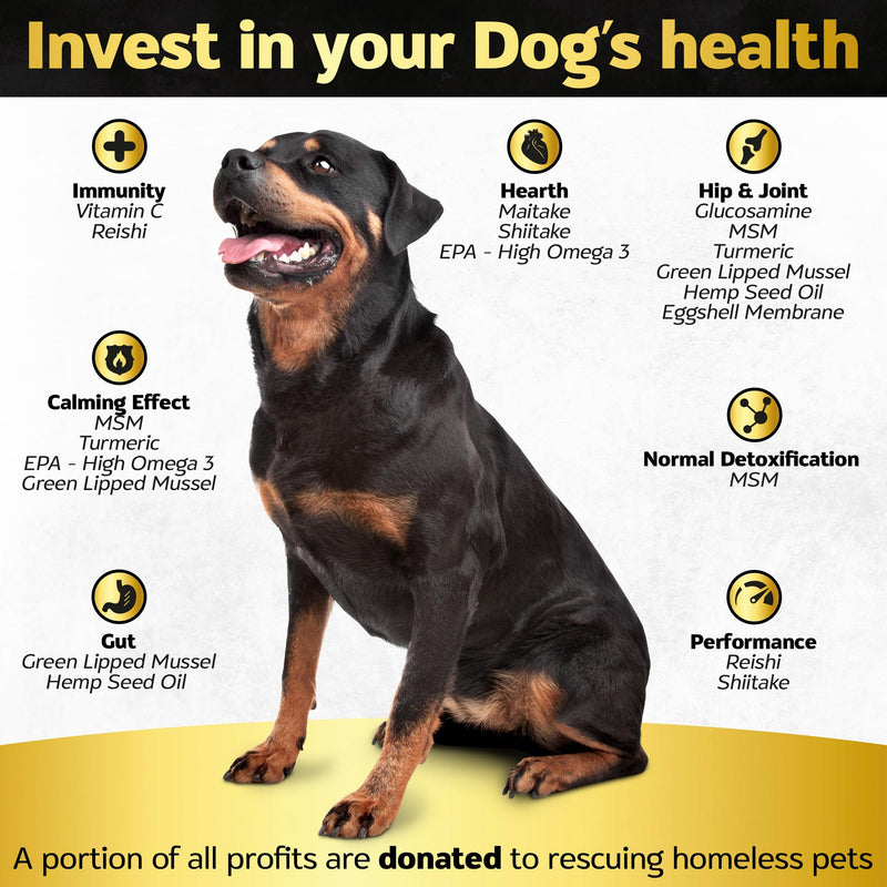 Soft Chews Hip and Joint Supplement for Dogs - Dog Joint Pain Relief Treats - Glucosamine, Chondroitin, Turmeric - Mobility Bites Supplement Hip and Joint Max Strength Bacon - 90 Soft Chews - BeesActive Australia