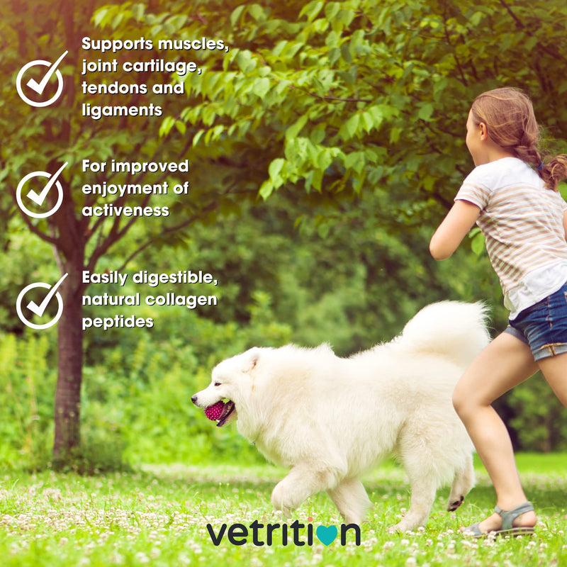 Collagen Powder for Dogs, Vet Approved Hydrolysed Collagen Peptides Supplement for Joints, Skin, Coat, Health, Bioactive Protein Rich Powder for All Ages, Breeds, Sizes Dogs, 150g