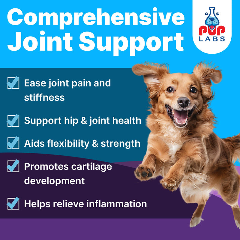 Freedom Joint Drops & Chews Bundle for Dogs, All-Natural Joint Supplements for Pain Relief, Mobility & Hip Support