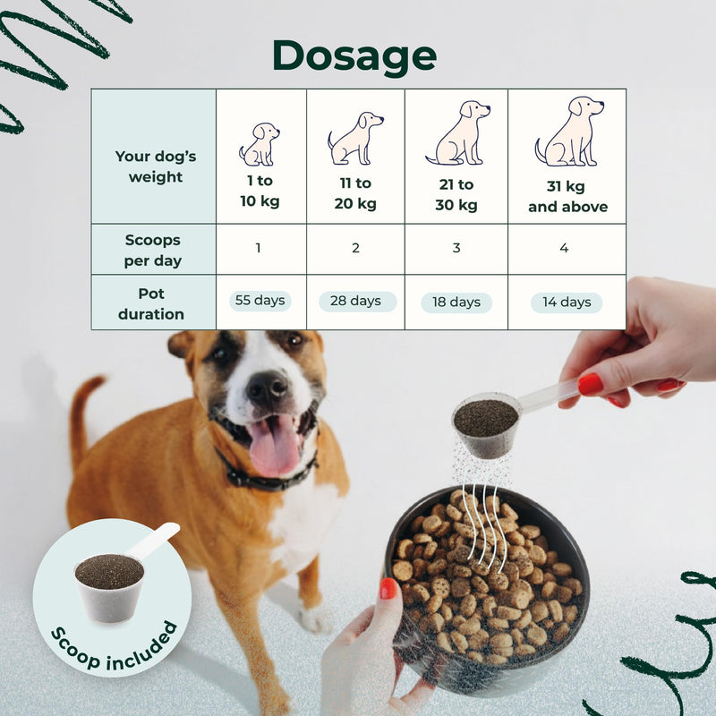 Sparkly Pets – Dental Powder for Dogs – Anti-Tartar & Plaque Cleaner, Tooth Whitening, Bad Breath & Gum Care – Eucalyptus, Prebiotics – French Brand – 120g (55 Scoops)