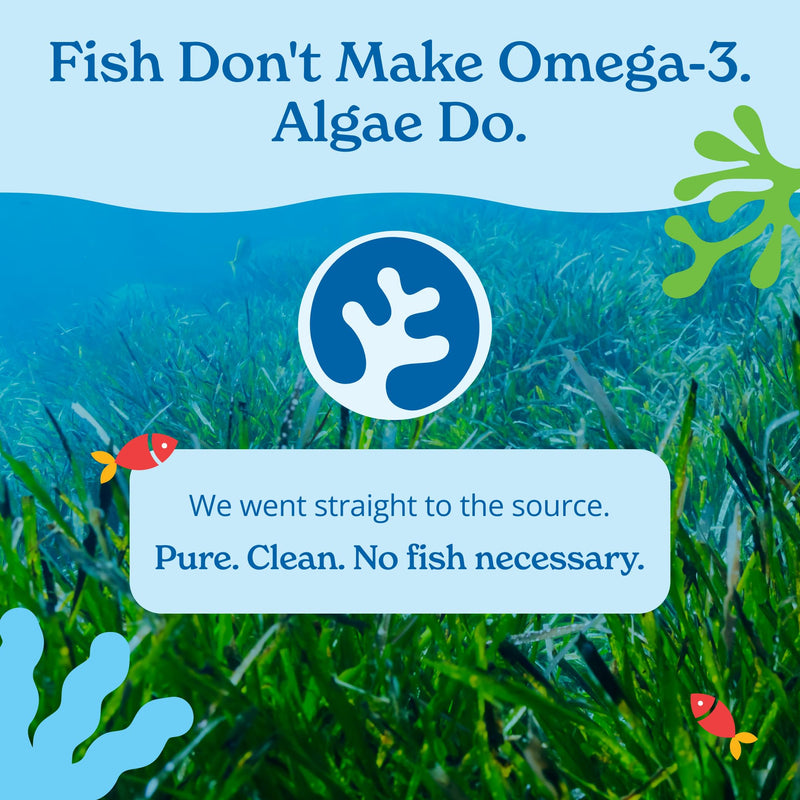 Calgee Algae Omega 3 Supplement, 450mg DHA & EPA, Carrageenan-Free & Sorbitol-Free, Vegan Softgels, Third-Party Tested, Plant-Based Fish Oil Alternative, Non-GMO, 60 Count 60 Softgels