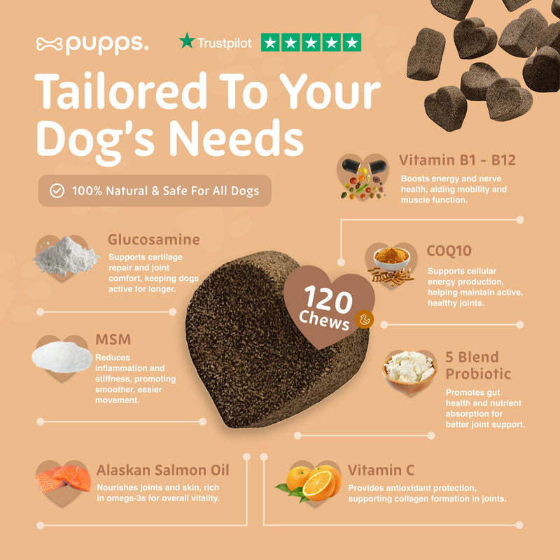 Pupps Hip & Joint Dog Treats – 120 Chews with Glucosamine (1000mg), Green Lipped Mussel & MSM | Joint Support for Dogs of All Ages | Helps Mobility, Stiffness & Comfort | Vet Approved, UK Made 120 x Chews