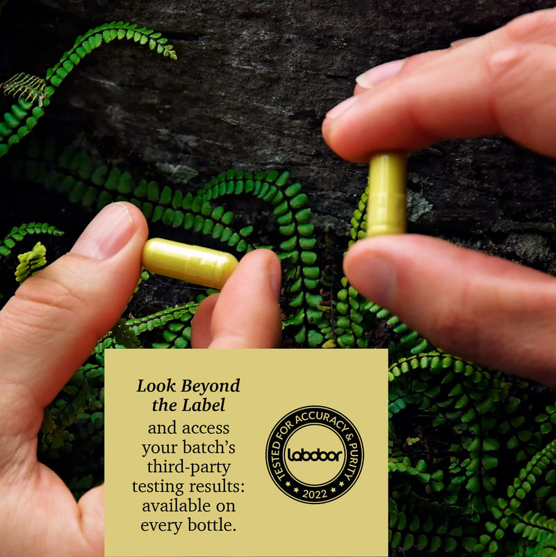 Quercetin with Bromelain - Bioactive Fava d'anta Derived Quercetin with 2400 GDU/g Bromelain 120 Capsules - BeesActive Australia
