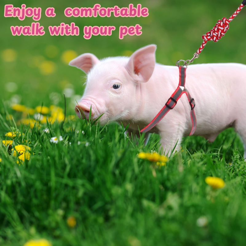 Miniature Pig Harness Leash with Christmas Scarf Set, Mini Pig Harness and Leash, Micro Pig Harness, Pigs Walking Harnesses and Leashes, Training Accessories for Small Hog Piggy Goats Dogs (Red, S) Red - BeesActive Australia
