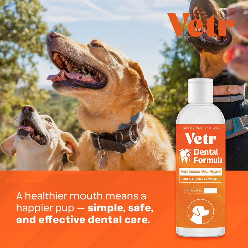 Vetr Dental Formula for Dogs - Peppermint Flavored Oral Care Liquid Additive with Enzymes for Breath and Teeth Support - Vet-Formulated in USA (16 oz) 16 oz