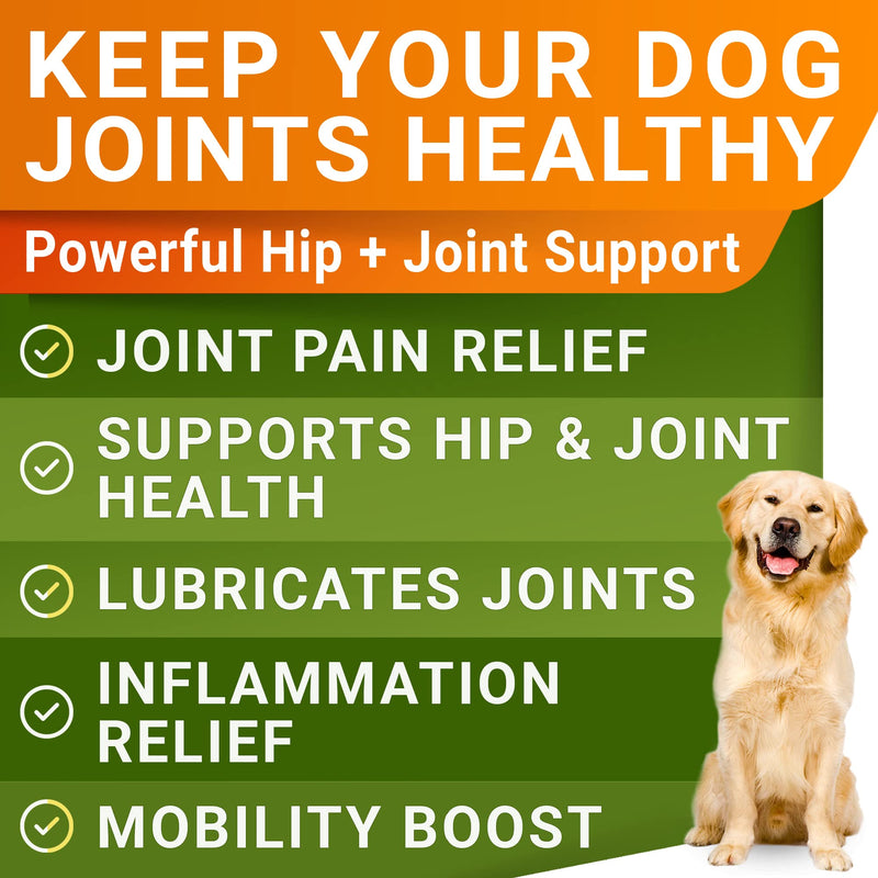 Glucosamine for Large Dogs - Joint Supplement Large Breed w/ Omega-3 Fish Oil - Chondroitin, MSM - Advanced Mobility Chews - Joint Pain Relief - Hip & Joint Care - Chicken Flavor - 360Ct - Made in USA LargeDogs (Value Pack) (360 Ct) - BeesActive Australia