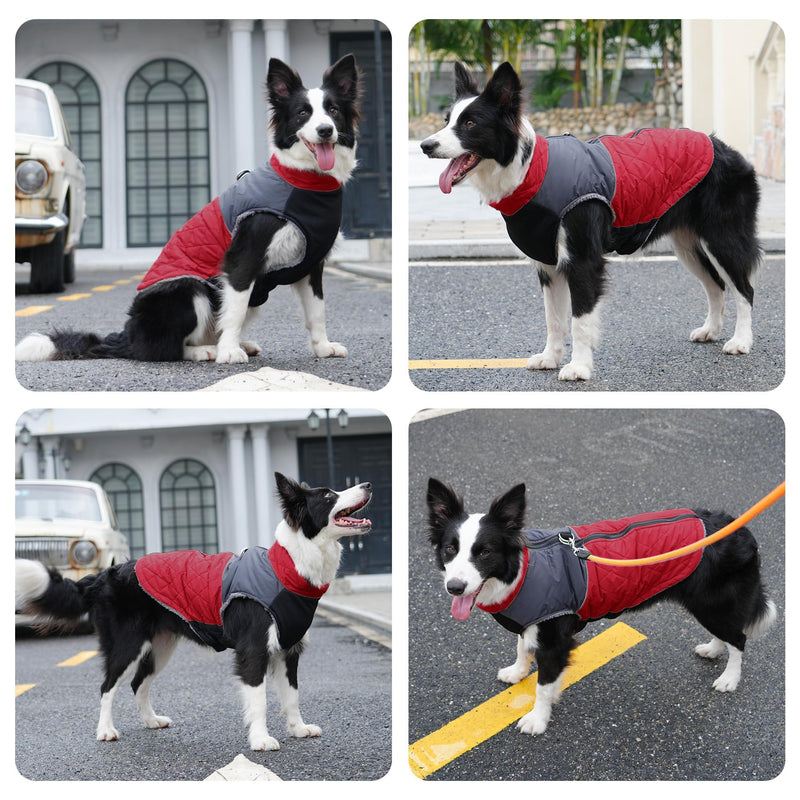 Warm Fleece Dog Coats for Small Dogs,D-Rings Waterproof Puppy Jacket for Cold Winter,Red M Medium (Pack of 1) Red - BeesActive Australia