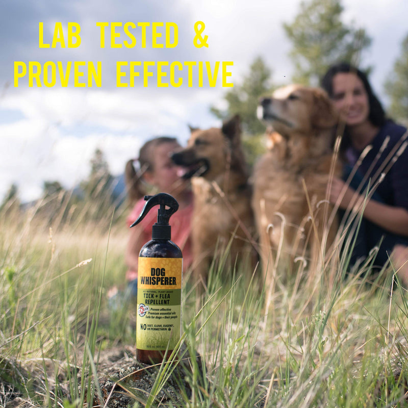 Dog Whisperer Tick + Flea Repellent, All-Natural, Extra Strength, Effective on Dogs and Their People (16 Ounce Spray) 16 oz - BeesActive Australia