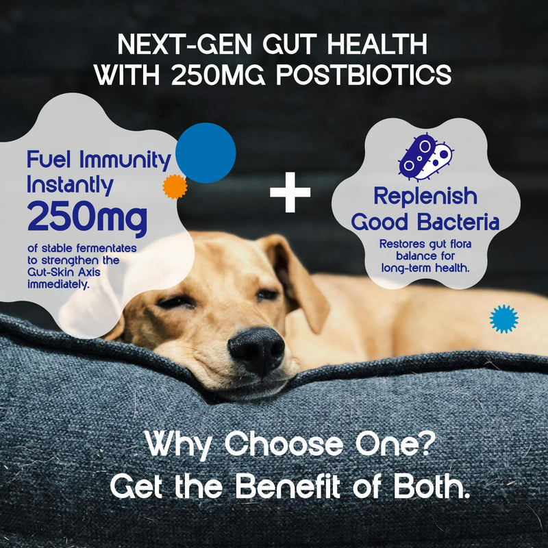 Dog Allergy Chews - Allergy Relief & Immune Support - Calming Aid & Itchy Skin Care with Probiotics for Itchy Ears, Anxiety, Dry Skin, Paw Licking & Stress - 60 Soft Treats