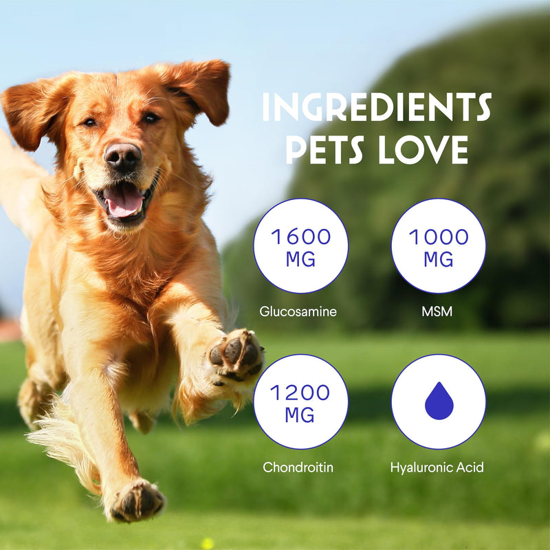 Premium Liquid Glucosamine for Dogs Strength Joint Support, Flexibility, Cartilage & Mobility - Hip and Joint Supplement with Chondroitin, MSM, Collagen & Hyaluronic Acid (16 Oz) 16 Oz - PawsPlanet Australia