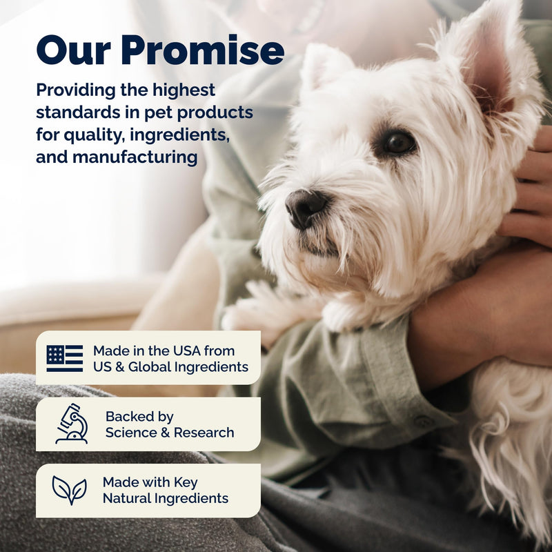 Vetnique Glandex Rapid Digestive Support for Dogs with Loose Stool | Diarrhea - Probiotics and Pumpkin for Dogs to Help Firm Dog Poop - 25 Chicken Flavored Soft Chews (25ct, Anti-Diarrhea) 25ct