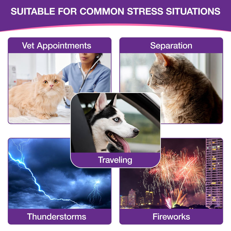 Pet Melatonin Drops 60ml for Dogs & Cats, Calming Liquid Supplement for Pets, Supports Relaxation & Healthy Sleep Cycles, Anxiety Relief for Travel, Fireworks & Stress, Easy Absorption Formula 1