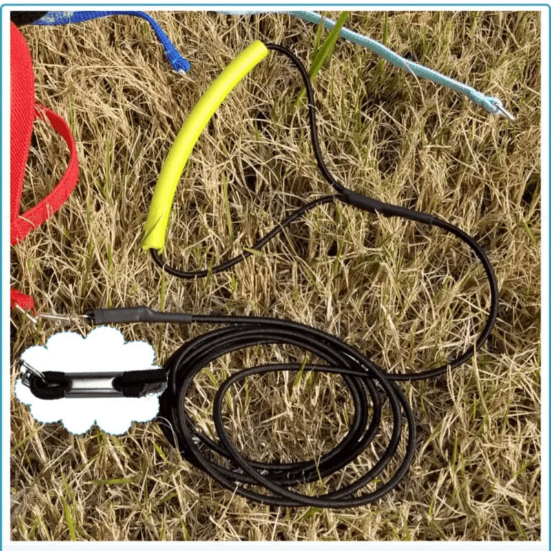 Pet Parrot Bird Harness Leash Adjustable Bird Flying Harness Traction Rope with Cute Wing for Parrots Pigeons Budgerigar Lovebird Cockatiel Mynah Outdoor Training Toy (M, Blue) Medium - BeesActive Australia
