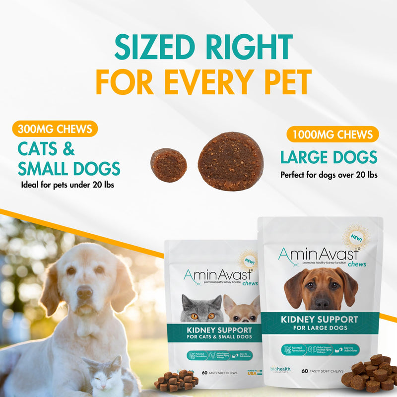 AminAvast Small Dogs & Cat Kidney Support - Promotes Healthy Kidney Support in Cats & Small Dogs - 300mg (60 Chews) 300mg (60 Chews)