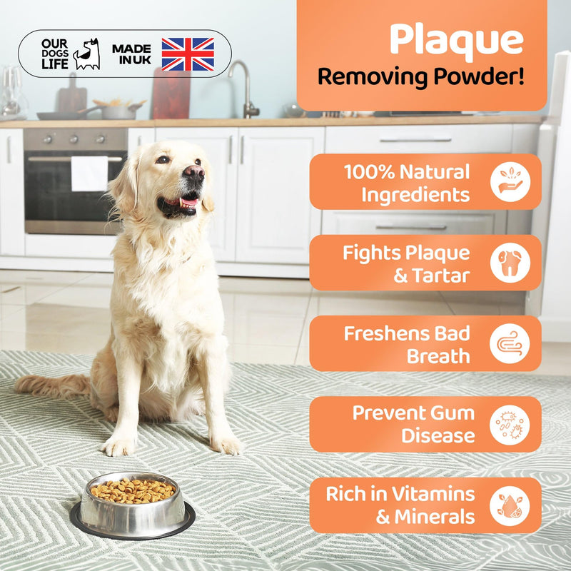 DogsLife Plaque Off Powder for Dogs - 200g | Organic Dog Teeth Cleaning Product | Tartar Remover & Breath Freshener | 100% Natural Dog Plaque Remover 1 count (Pack of 1)