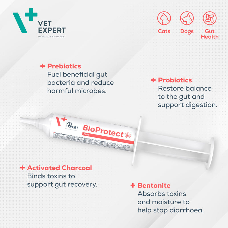 Vet Expert BioProtect Paste – Digestive Support for Dogs and Cats, Relieves Diarrhoea, Boosts Gut Health, and Restores Intestinal Balance with Probiotics, Prebiotics, and Bentonite (15 ml Syringe)
