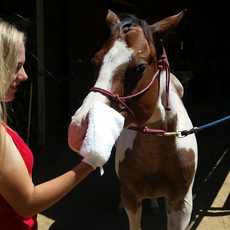 Fleece Applicator Wipe Mitt for Horses - BeesActive Australia