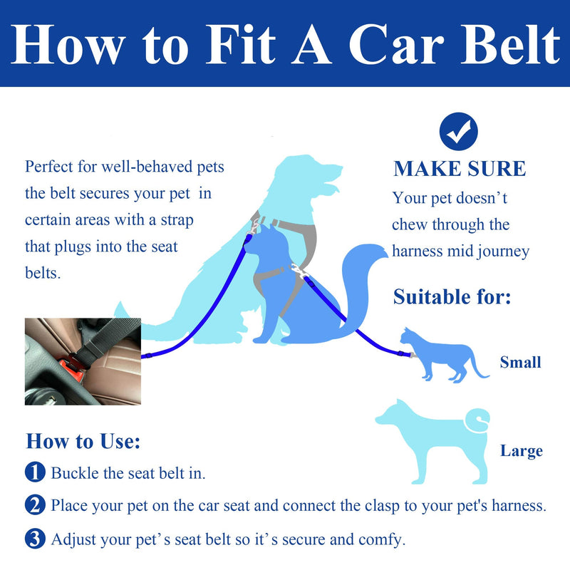 Dog Seat Belt for Car. Car Accessories for Dogs. Adjustable Strap, Strong Nylon Fabric, Bungee Buffer Design Dog Car Seat Belt. (Black+Pink) Black+Pink - BeesActive Australia