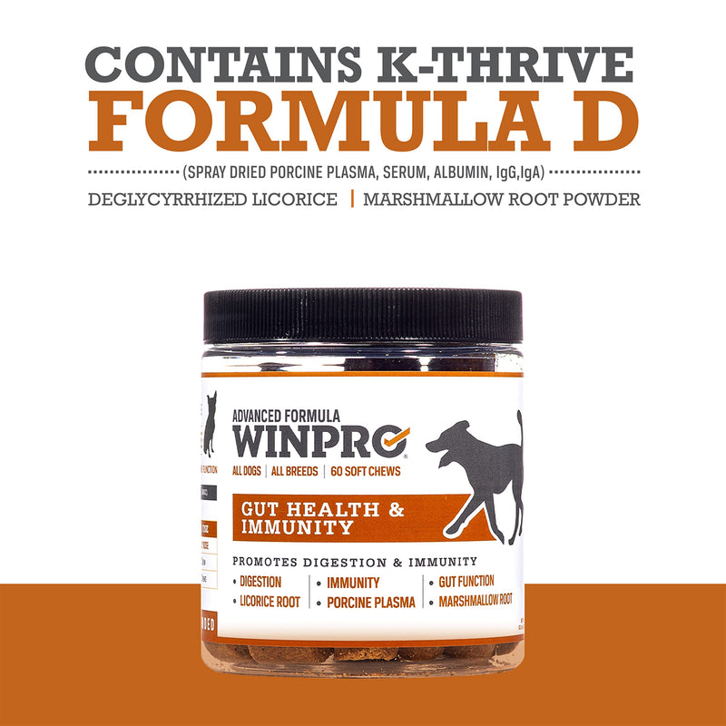 WINPRO Dog Gut Health Supplements – Plasma-Powered Chews for Dog Immune Support & Digestive Health, Fast-Acting Solution for Gut Health for Dogs of All Breeds & Sizes, 60 Count, Made in USA - PawsPlanet Australia