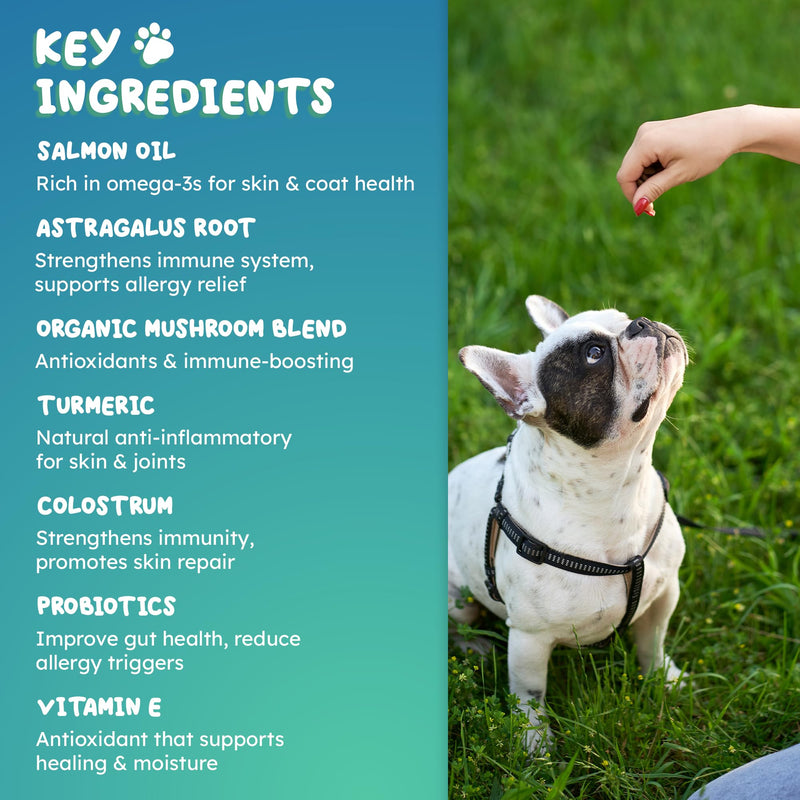 Dog Allergy Chews 90ct - Daily Itch & Allergy Relief Soft Chews with Salmon Oil, Turmeric, Colostrum & Probiotics for Skin & Coat Health