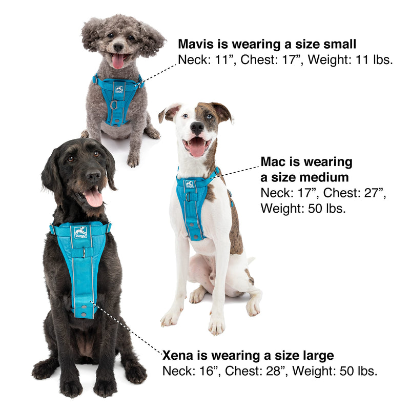 Kurgo Tru-Fit Smart Harness, Dog Harness, Pet Walking Harness, Quick Release Buckles, Front D-Ring for No Pull Training, includes Dog Seat Belt Tether (Blue, Large) Blue Large (Pack of 1) - BeesActive Australia