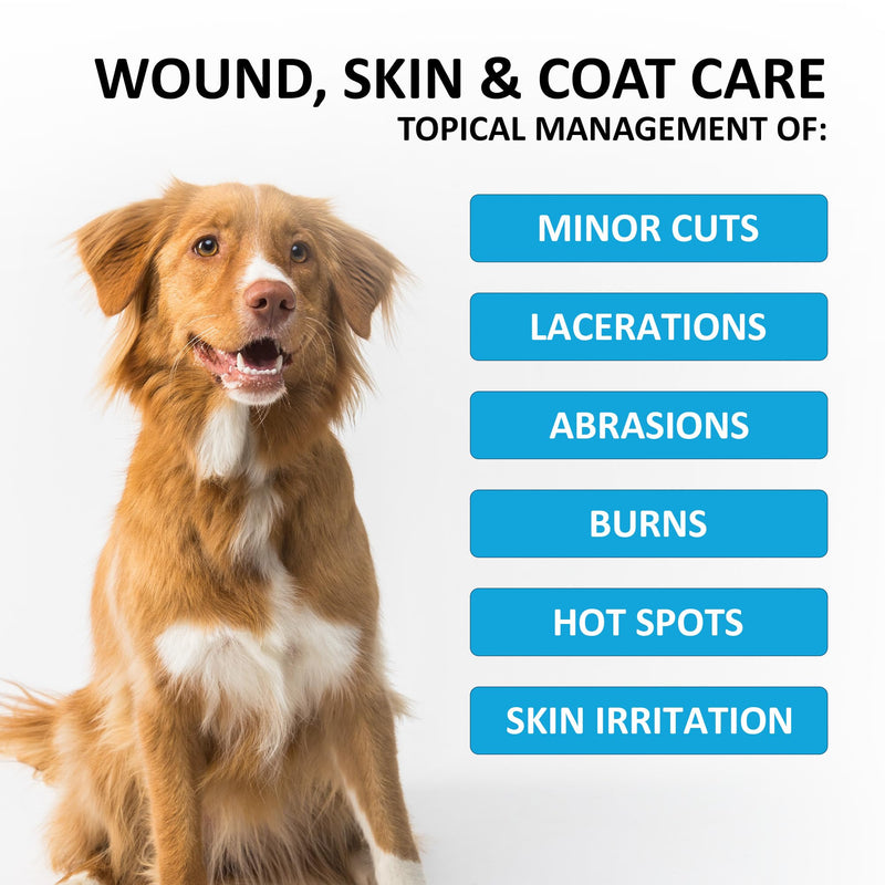 Pet Wound & Itch Care | Dogs, Cats, Horses, Skin & Coat Care, Hydrogel Liquid Bandage, Healing on Cuts, Hot Spot, Burns, Skin Irritation, for Relief & Treatment, Vet Recommended 4 OZ 4.0oz - BeesActive Australia